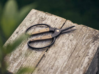 Walnut Garden Scissors, Small